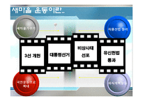 [한국정부론] 새마을운동과 사회적 자본-8