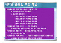 [한국정부론] 새마을운동과 사회적 자본-10