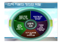 [한국정부론] 새마을운동과 사회적 자본-12
