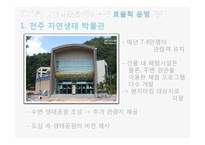 [지방재정론] 공립 박물관, 과학박물관의 효율적, 비효율적 사례 분석-11