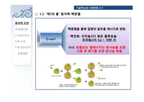 [기술과 사회] 원자력 관련 논란-미래를 위한 대안, 원자력-5