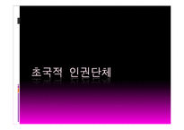 사회운동과 NGO-초국적 인권단체와 국내 NGO-2