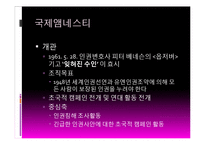 사회운동과 NGO-초국적 인권단체와 국내 NGO-4
