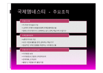 사회운동과 NGO-초국적 인권단체와 국내 NGO-6
