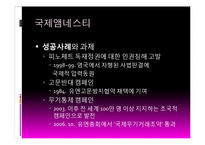 사회운동과 NGO-초국적 인권단체와 국내 NGO-10