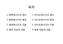 [환경과 인간] 풍력에너지, 바이오에너지의 현황과 향후 전망 및 개발-1