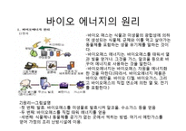[환경과 인간] 풍력에너지, 바이오에너지의 현황과 향후 전망 및 개발-9