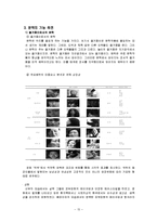 [문학원론] 영화 `박쥐`와 문학-17