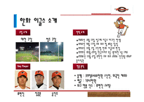 [스포츠경영] 한화 이글스, 롯데 자이언츠 마케팅 분석 및 나아가야 할 방향-4