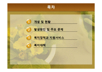 [가족복지론] 한부모가족의 복지정책과 지원 대책-2