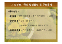 [가족복지론] 한부모가족의 복지정책과 지원 대책-11