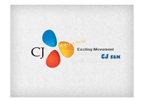 CJ E&M 레포트-2