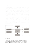 (성공적인 마케팅전략) 6C 마케팅 전략-2