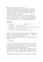 (성공적인 마케팅전략) 6C 마케팅 전략-3