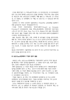 [기업윤리] 기업윤리의 국제적 환경변화-7