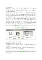 네트워크 컴퓨팅(클라이언트-서버컴퓨팅, 인트라넷과 엑스트라넷)-3