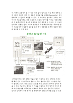 월마트의 공급사슬관리(SCM) 추진 사례-3