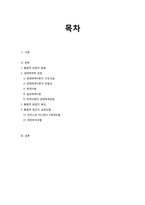 사회복지실천의 통합적 접근방법-2