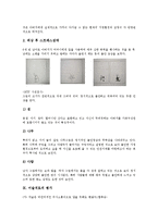 [미술치료]미술치료의 의미,목표, 미술치료의 발전,과정, 미술치료의 적용대상, 미술치료의 기법, 미술치료의 사례, 미술치료의 평가-12