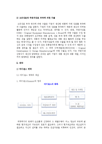 해외시장 진입전략-4