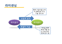 [국제경영] 기업의 해외 프랜차이즈, 라이슨싱 성공사례-15