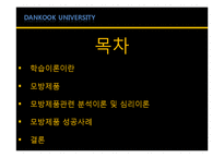 [소비자행동론] 모방제품 분석 및 심리이론과 성공사례-2