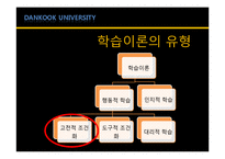 [소비자행동론] 모방제품 분석 및 심리이론과 성공사례-4