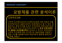 [소비자행동론] 모방제품 분석 및 심리이론과 성공사례-6