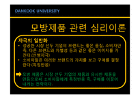 [소비자행동론] 모방제품 분석 및 심리이론과 성공사례-8