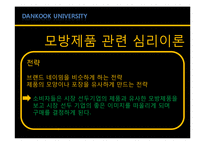 [소비자행동론] 모방제품 분석 및 심리이론과 성공사례-9