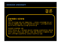 [소비자행동론] 모방제품 분석 및 심리이론과 성공사례-14