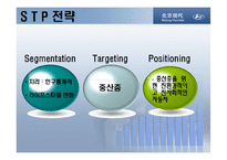 [마케팅] 현대자동차 중국시장 진출-19