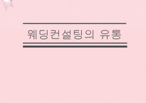 [경영학] 국내 웨딩컨설팅의 유통 현황과 발전방향-1