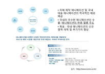 [경영학] 뽀로로(주) 아이코닉스의 경쟁력강화 및 해외시장 진출 방안-3