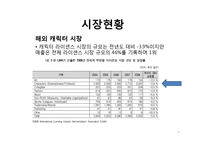 [경영학] 뽀로로(주) 아이코닉스의 경쟁력강화 및 해외시장 진출 방안-8