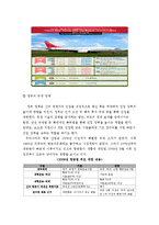 [경영학] 국내 항공 산업 분석-7