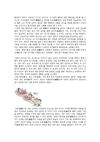 [인사관리] 현대그룹의 조직문화-5