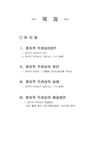 [정치학개론] 한국인의 정치적 무관심 문제 개선 방안-2