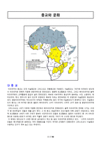 [비교가족문화론] 아프리카 가족형태와 문화-13