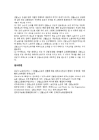 [산별노조건설][산업별노동조합건설]산별노조(산업별노동조합)건설의 필요성,원칙,기본방향, 산별노조(산업별노동조합)건설의 방식,경로,방향-11