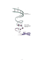 Epigenetics과 유전자 조절에 관하여-4
