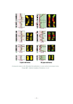 Epigenetics과 유전자 조절에 관하여-5