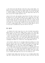 유사석유 휘발유의 문제점과 해결방안0-12