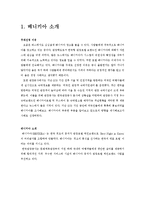 [호텔경영] 베니키아 프리미어 송도브릿지 호텔의 경영사례 분석-3