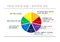 [국제경영] 개발도상국의 FDI유치 현황과 영향 분석-5