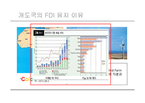 [국제경영] 개발도상국의 FDI유치 현황과 영향 분석-9