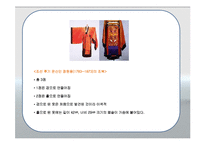 [관광자원론] 조대비사순칭경진하도병-담화기법을 통한 해설-16