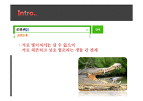 [국제경영] 스포츠 마케팅 성공, 실패 사례-13