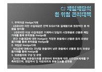 [국제재무] CJ 제일제당 인도네시아 해외직접투자-10