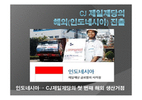 [국제재무] CJ 제일제당 인도네시아 해외직접투자-13